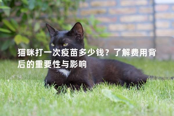 猫咪打一次疫苗多少钱？了解费用背后的重要性与影响