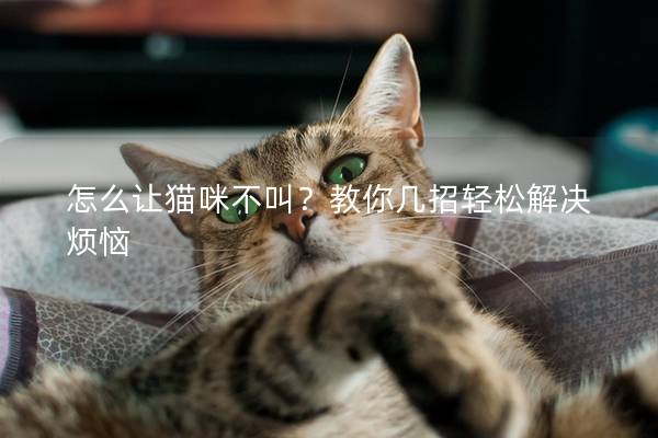 怎么让猫咪不叫？教你几招轻松解决烦恼