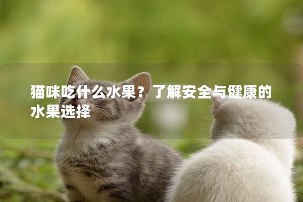 猫咪吃什么水果？了解安全与健康的水果选择