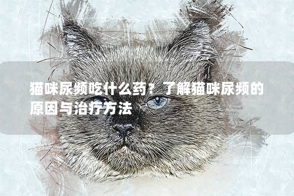 猫咪尿频吃什么药？了解猫咪尿频的原因与治疗方法