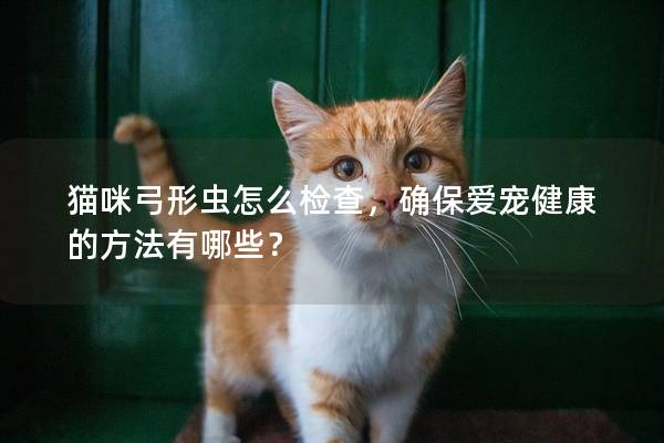 猫咪弓形虫怎么检查，确保爱宠健康的方法有哪些？