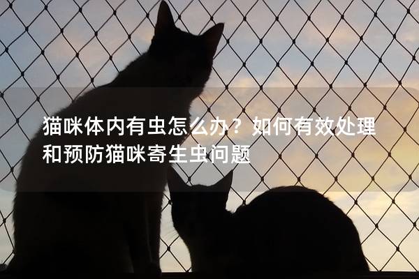 猫咪体内有虫怎么办？如何有效处理和预防猫咪寄生虫问题