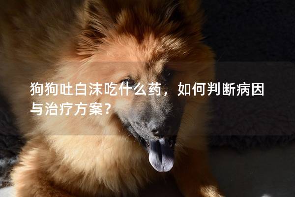 狗狗吐白沫吃什么药，如何判断病因与治疗方案？