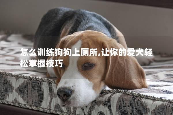 怎么训练狗狗上厕所,让你的爱犬轻松掌握技巧