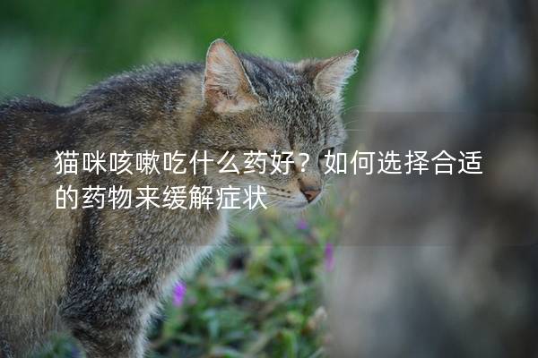 猫咪咳嗽吃什么药好？如何选择合适的药物来缓解症状