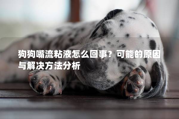 狗狗嘴流粘液怎么回事？可能的原因与解决方法分析