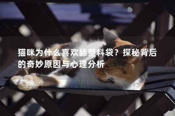 猫咪为什么喜欢舔塑料袋？探秘背后的奇妙原因与心理分析