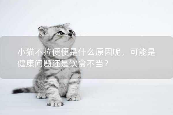 小猫不拉便便是什么原因呢，可能是健康问题还是饮食不当？