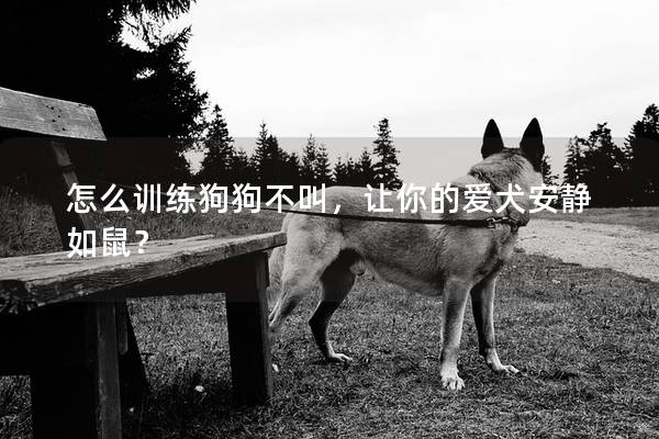 怎么训练狗狗不叫，让你的爱犬安静如鼠？