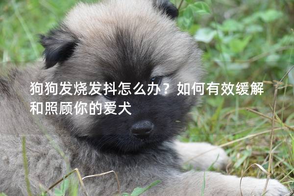 狗狗发烧发抖怎么办？如何有效缓解和照顾你的爱犬