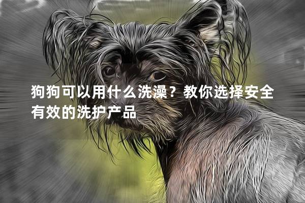 狗狗可以用什么洗澡？教你选择安全有效的洗护产品