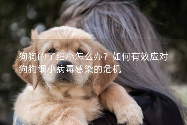 狗狗的了细小怎么办？如何有效应对狗狗细小病毒感染的危机