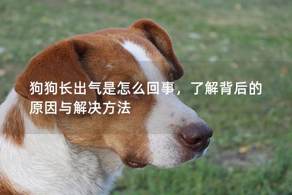 狗狗长出气是怎么回事，了解背后的原因与解决方法