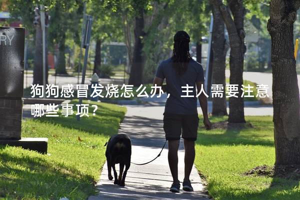 狗狗感冒发烧怎么办，主人需要注意哪些事项？