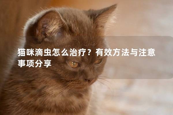 猫咪滴虫怎么治疗？有效方法与注意事项分享