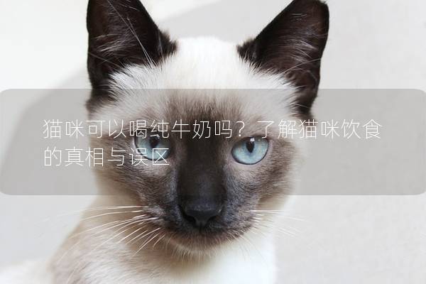 猫咪可以喝纯牛奶吗？了解猫咪饮食的真相与误区