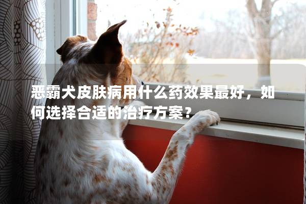 恶霸犬皮肤病用什么药效果最好，如何选择合适的治疗方案？