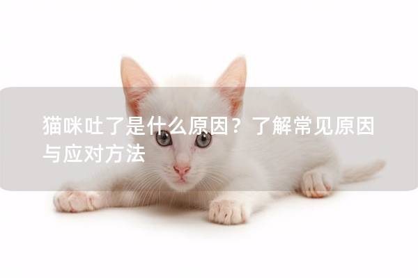 猫咪吐了是什么原因？了解常见原因与应对方法