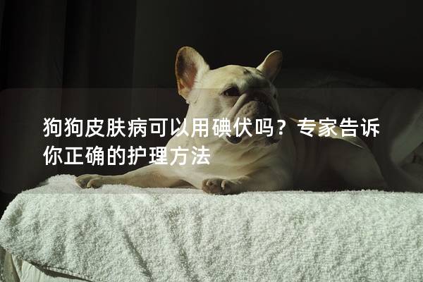 狗狗皮肤病可以用碘伏吗？专家告诉你正确的护理方法