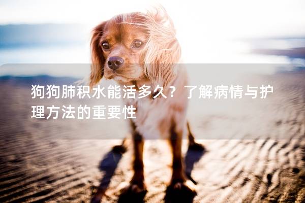 狗狗肺积水能活多久？了解病情与护理方法的重要性