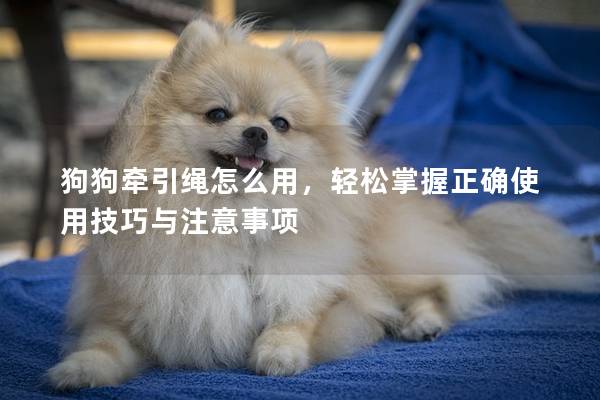 狗狗牵引绳怎么用，轻松掌握正确使用技巧与注意事项