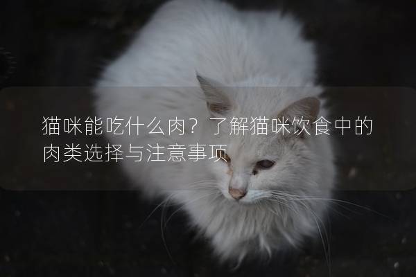 猫咪能吃什么肉？了解猫咪饮食中的肉类选择与注意事项