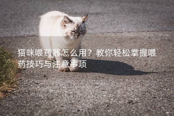 猫咪喂药器怎么用？教你轻松掌握喂药技巧与注意事项