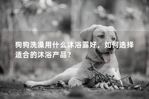 狗狗洗澡用什么沐浴露好，如何选择适合的沐浴产品？