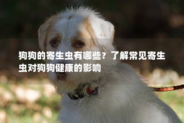 狗狗的寄生虫有哪些？了解常见寄生虫对狗狗健康的影响