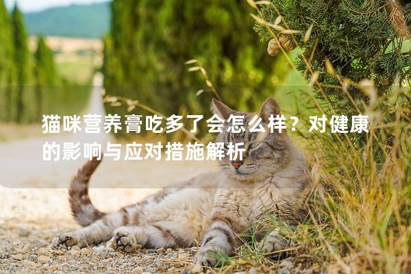 猫咪营养膏吃多了会怎么样？对健康的影响与应对措施解析