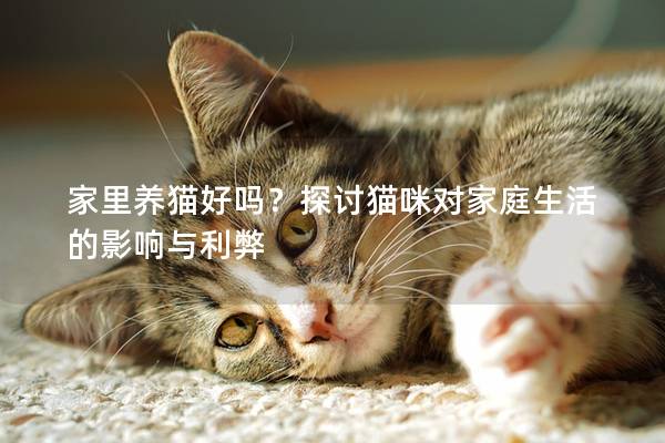 家里养猫好吗？探讨猫咪对家庭生活的影响与利弊