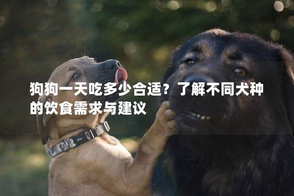 狗狗一天吃多少合适？了解不同犬种的饮食需求与建议