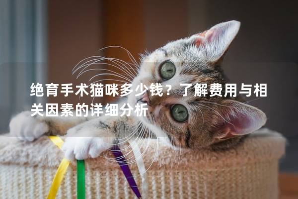 绝育手术猫咪多少钱？了解费用与相关因素的详细分析