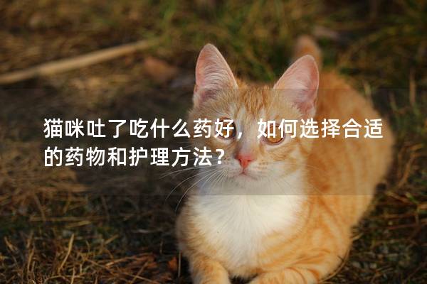 猫咪吐了吃什么药好，如何选择合适的药物和护理方法？