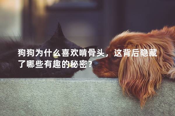 狗狗为什么喜欢啃骨头，这背后隐藏了哪些有趣的秘密？