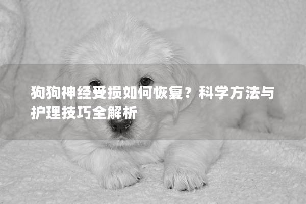 狗狗神经受损如何恢复？科学方法与护理技巧全解析