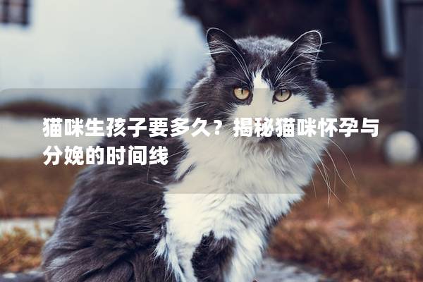 猫咪生孩子要多久？揭秘猫咪怀孕与分娩的时间线