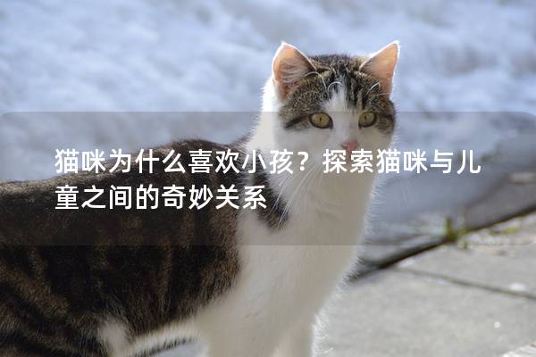 猫咪为什么喜欢小孩？探索猫咪与儿童之间的奇妙关系