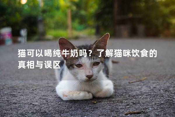 猫可以喝纯牛奶吗？了解猫咪饮食的真相与误区