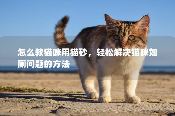 怎么教猫咪用猫砂，轻松解决猫咪如厕问题的方法