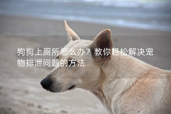 狗狗上厕所怎么办？教你轻松解决宠物排泄问题的方法