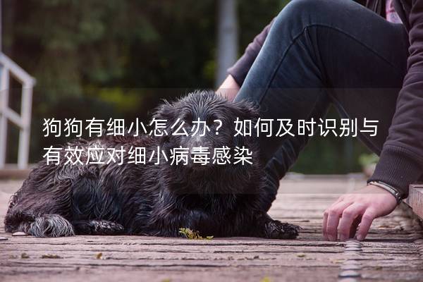 狗狗有细小怎么办？如何及时识别与有效应对细小病毒感染