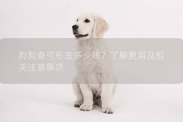 狗狗查弓形虫多少钱？了解费用及相关注意事项