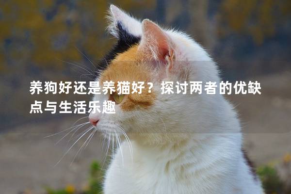 养狗好还是养猫好？探讨两者的优缺点与生活乐趣