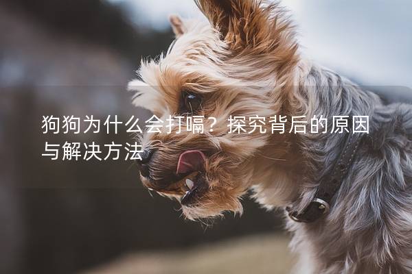 狗狗为什么会打嗝？探究背后的原因与解决方法