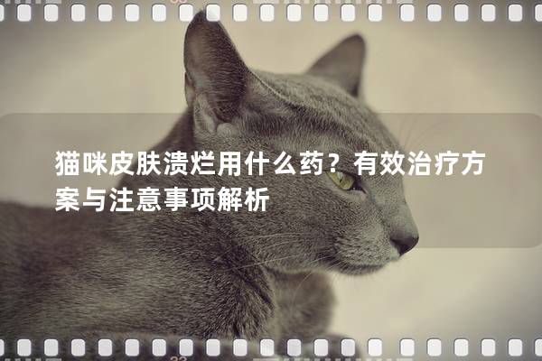 猫咪皮肤溃烂用什么药？有效治疗方案与注意事项解析