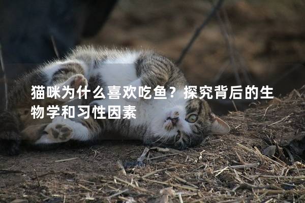 猫咪为什么喜欢吃鱼？探究背后的生物学和习性因素