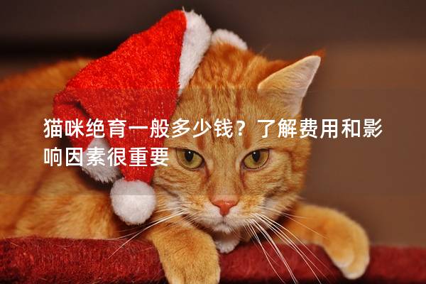 猫咪绝育一般多少钱？了解费用和影响因素很重要