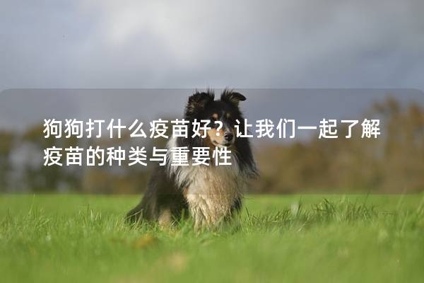 狗狗打什么疫苗好？让我们一起了解疫苗的种类与重要性