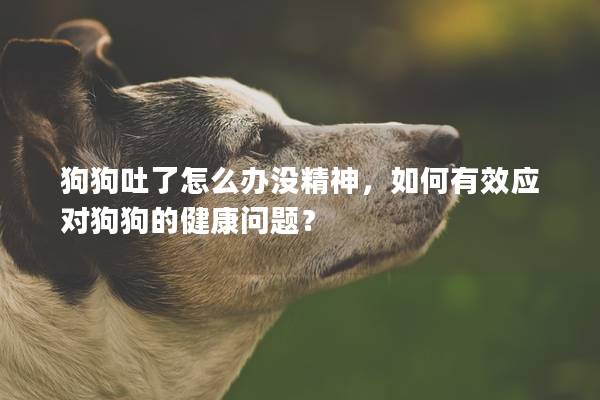 狗狗吐了怎么办没精神，如何有效应对狗狗的健康问题？